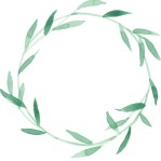 cropped-39a4a59e-a904-4ae4-8506-fdb5c4dab4d7